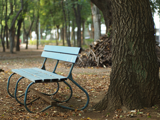 Blue bench