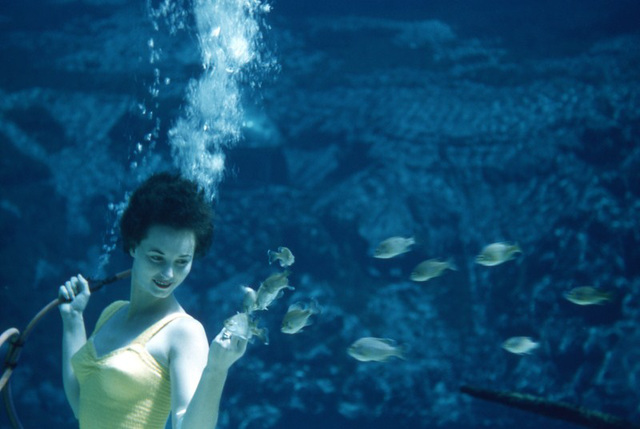 Feeding the Fish at Weeki Wachee Springs, 1950s