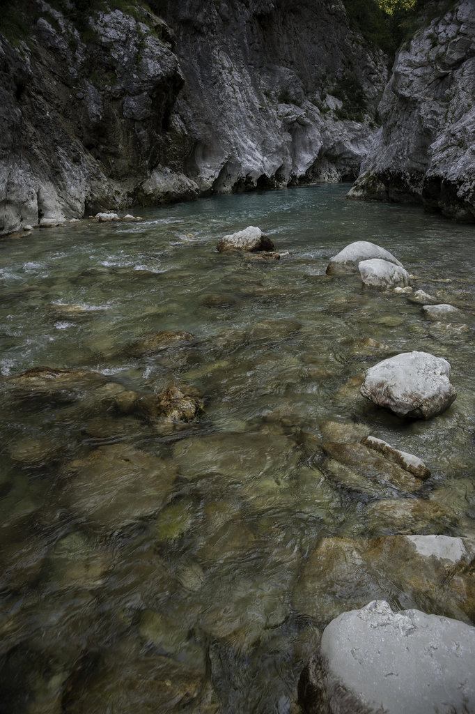 Verdon