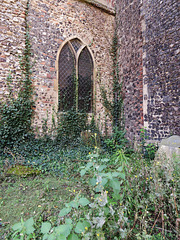norwich, st.michael at plea