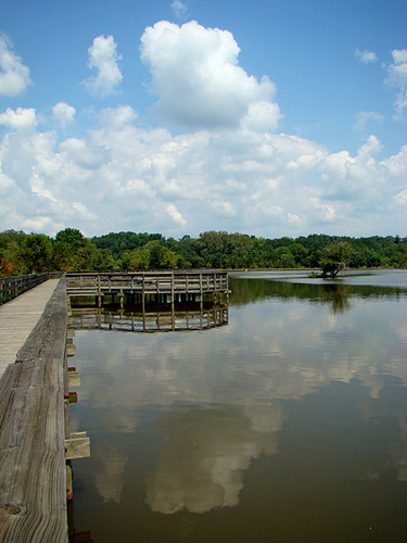 Mirrored clouds from boardwalk