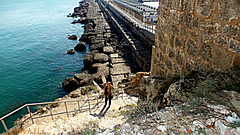 DSCF4292