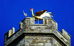 axminster church, devon