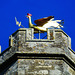 axminster church, devon