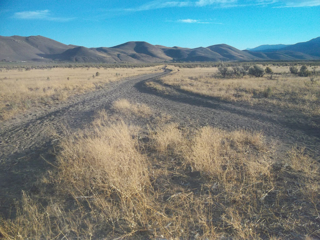 Washoe Valley