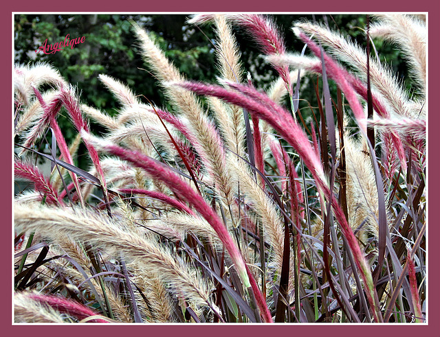 Coutances le 1 Octobre 2013 356