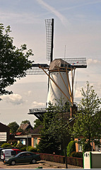 Westmaas, The Netherlands.