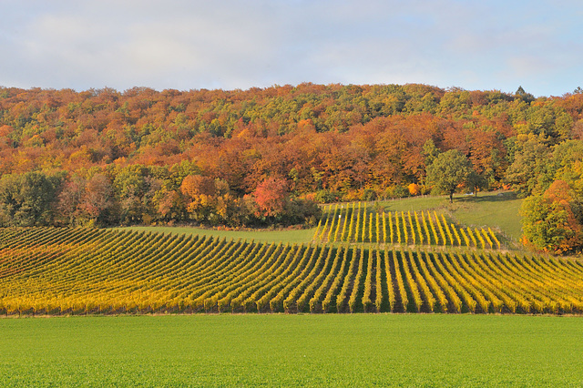 L'automne au pied du Jura