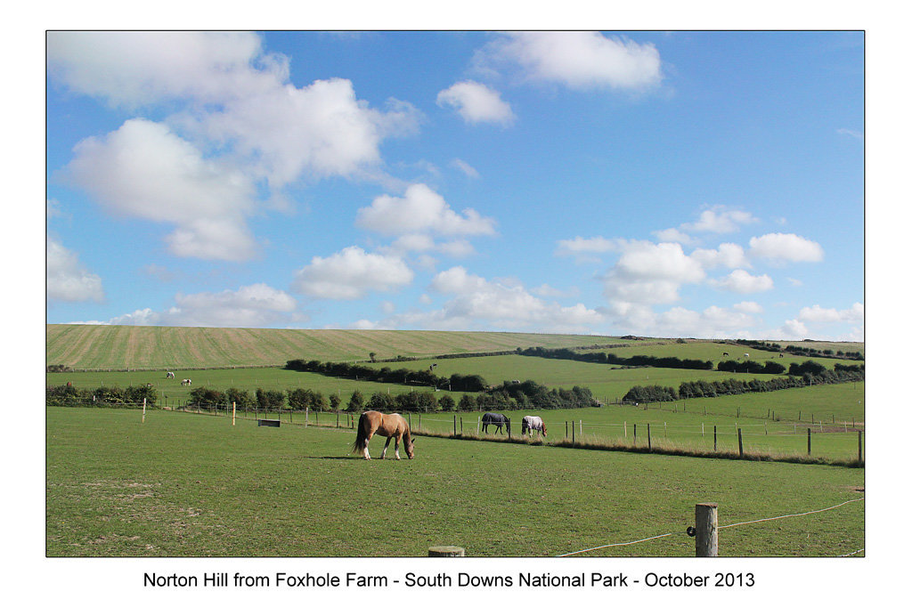 Norton Hill from SW  - 7.10.2013