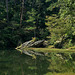 Rock reflections