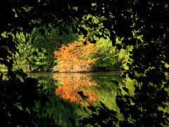 Framed reflection