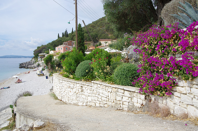 Coast path with bougainvillea and telegraph pole