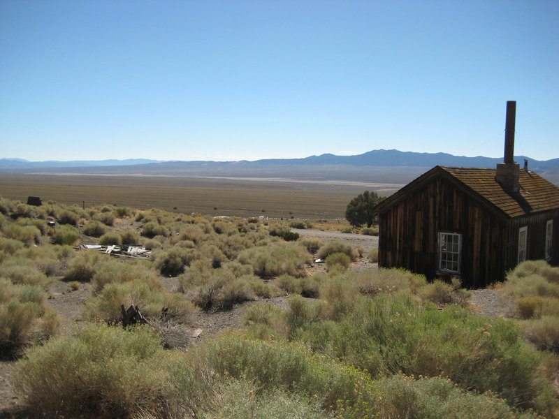 West Central NV 79