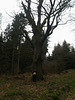 2012-04-05 13.13.44