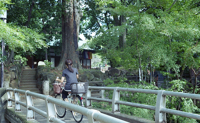 A woman on a bicycle with two baskets