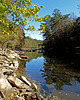 Reflection on the Locust Fork