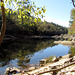 Reflection on the Locust Fork