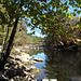 Locust Fork River