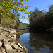 Reflection on the Locust Fork