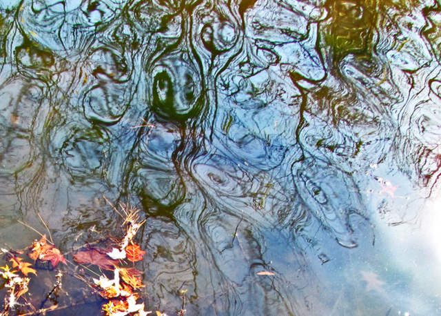 Water Artistry - What Do You See?