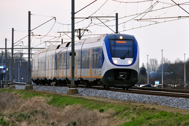 Sprinter Light Train