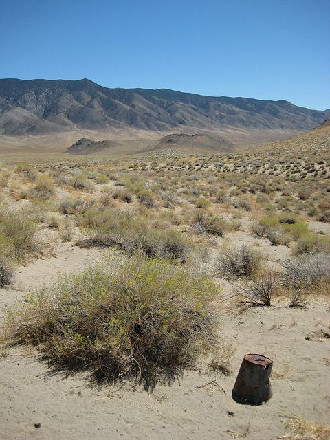 West Central NV 119