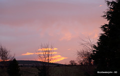 O Say can you see by the dawn's early light...