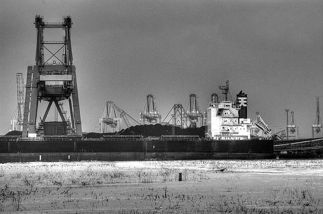 Bulk Carrier Ten Jin Maru