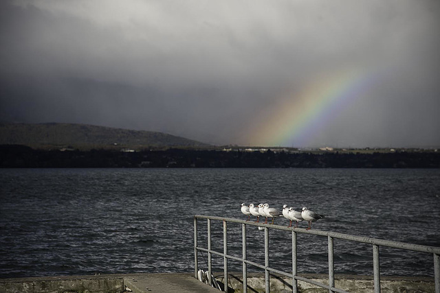 Arc en ciel