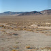 West Central NV 149