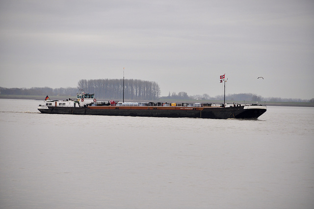 Ship on the Elbe