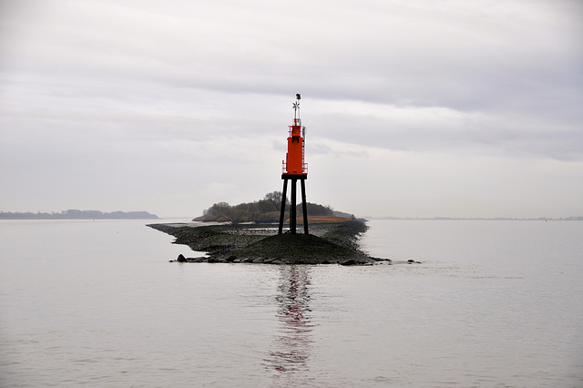 Island in the Elbe