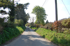 Common Lane. bromeswell. Suffolk