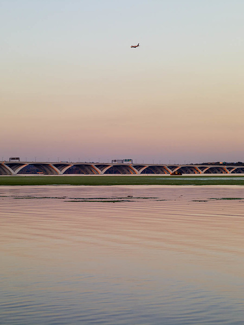 Evening Flight