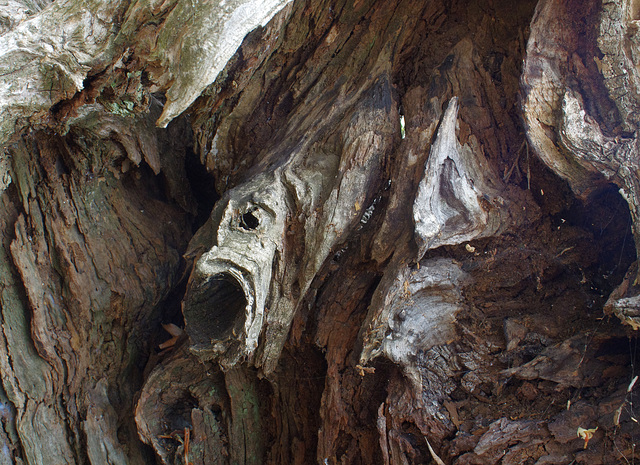 tree troll