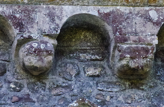 hawkchurch church, devon