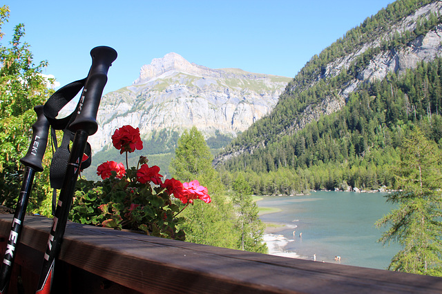 Repos (lac de Derborence)