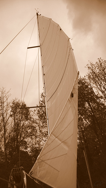 Mettre les voiles . . .