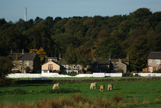 old glossop