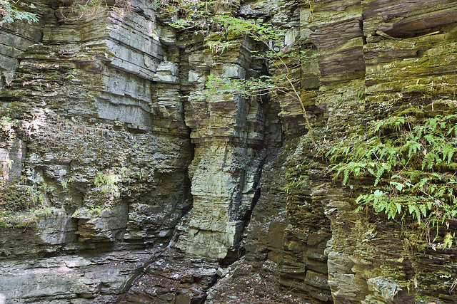 The Column Became – Watkins Glen State Park, Watkins Glen, New York