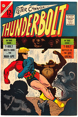 CM_Thunderbolt_52