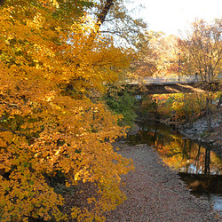 Rock Creek Rock Creek