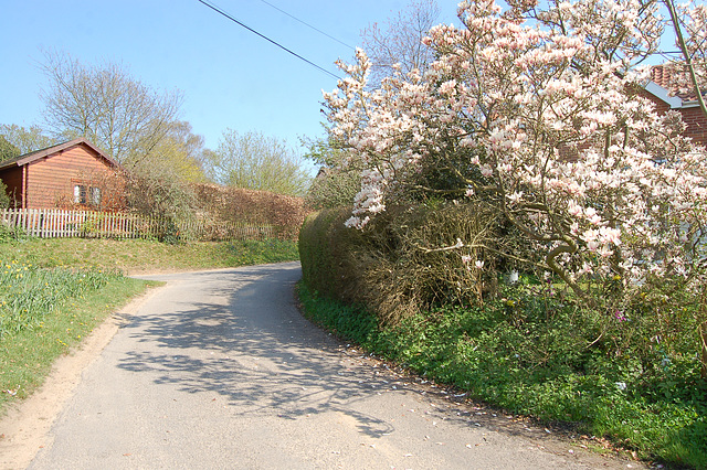 Common Lane, Bromeswell,  Suffolk - looking towards School Lane