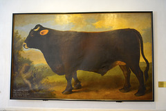 Moritzburg 2013 – Bull painting