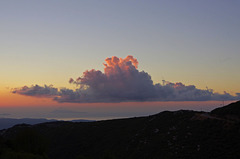 a stately cloud