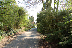 School Lane. Bromeswell. suffolk