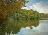 douceur d'automne