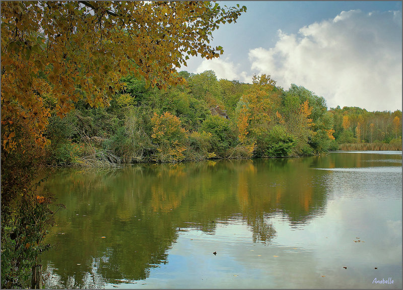 douceur d'automne