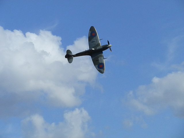 mafmsaug232014 (828)