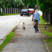 Moritzburg 2013 – Geese on the bicycle path